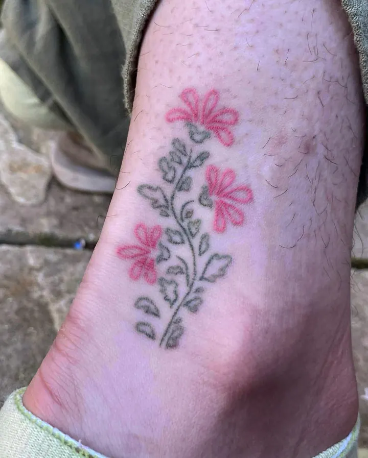 Pink flowers with grey leaves on the ankle