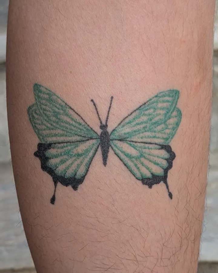 Turquoise butterfly on the leg