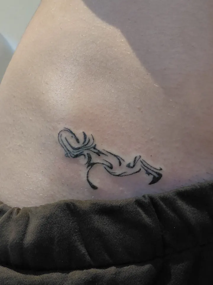 Matching abstract design on the hip, one of a pair