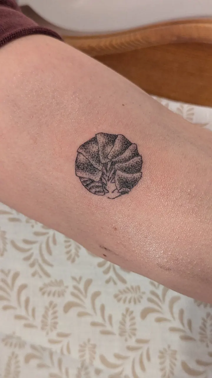 Small creature curled up in a ball, with dotwork shading
