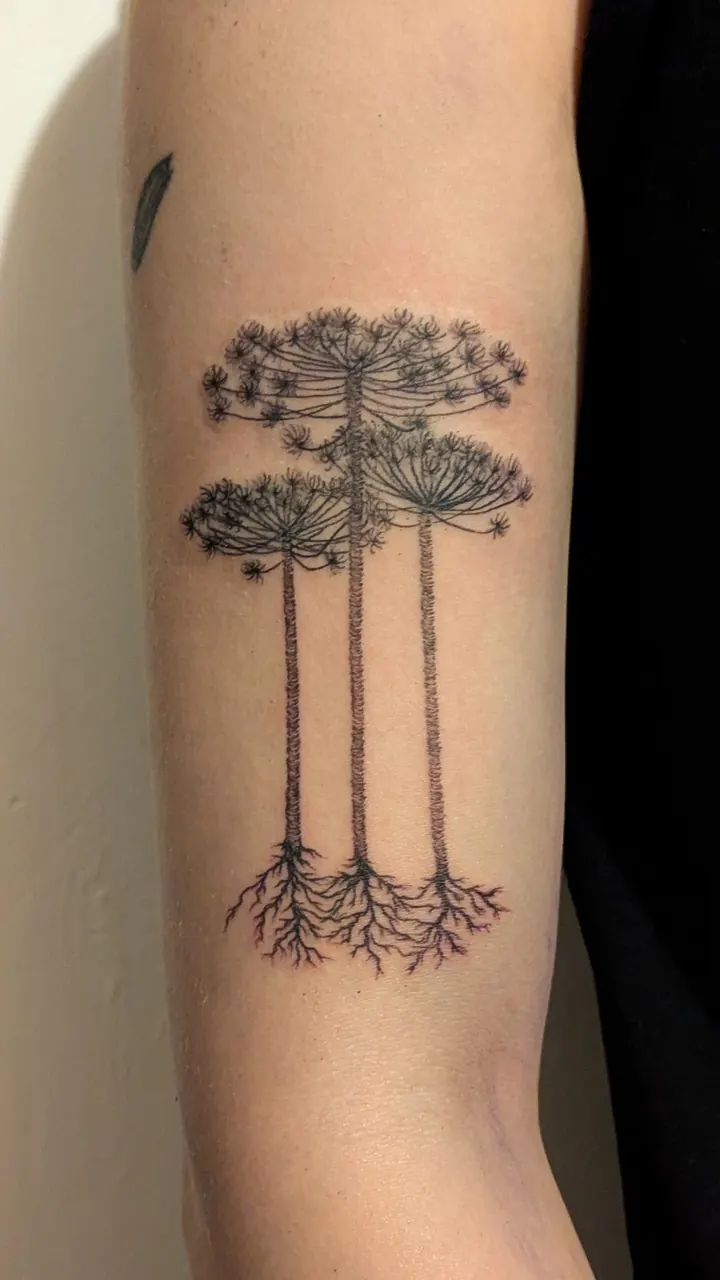 Three tall trees with roots on the upper arm