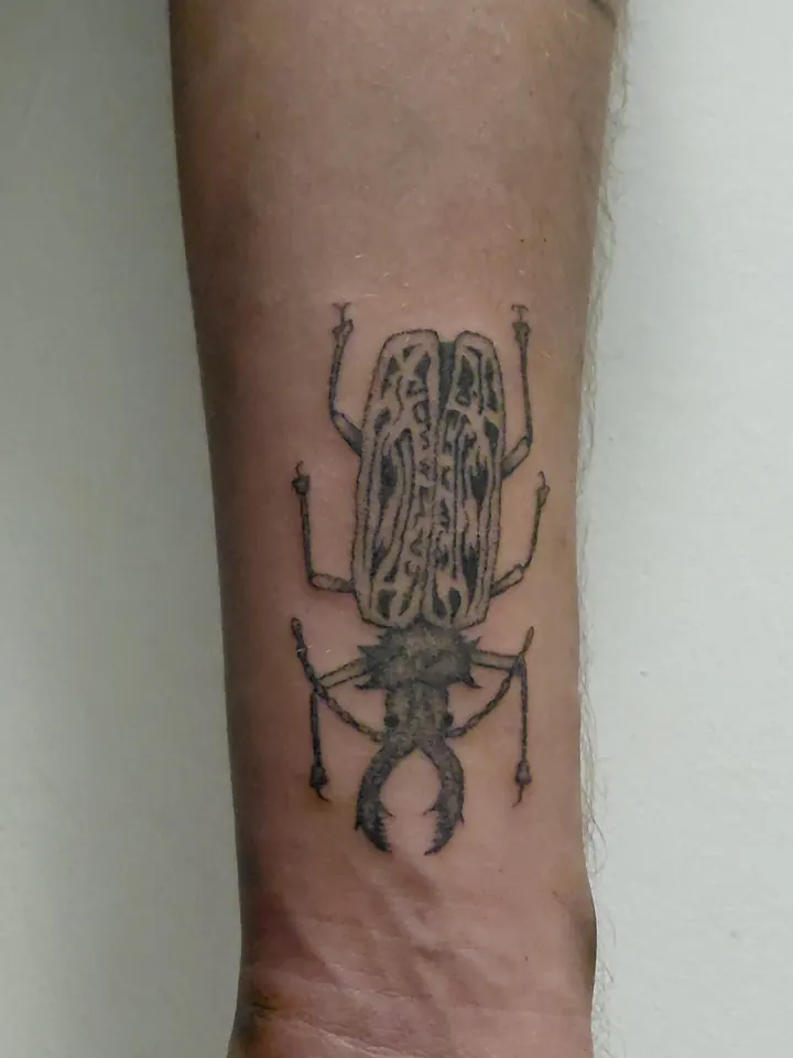 Detailed beetle on the forearm