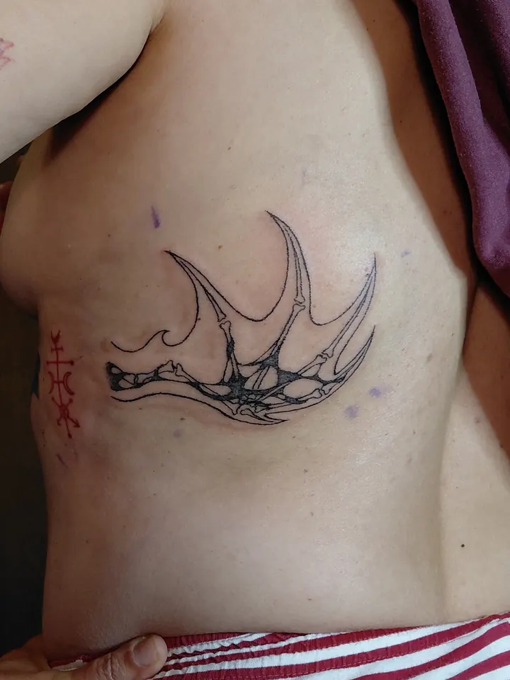 Bony dragon wing with a red symbol on the ribs
