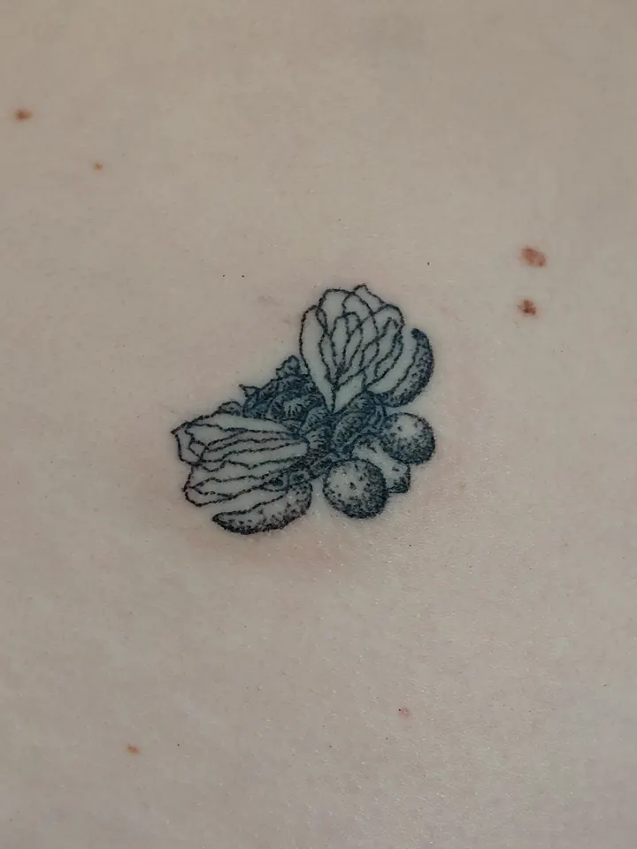 Flowers and round fruit in dotwork